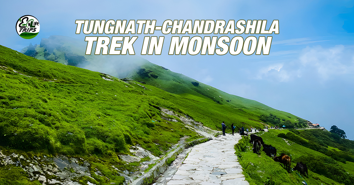 Chopta tour package